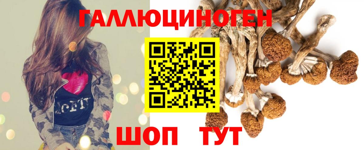 Псилоцибиновые грибы прущие грибы  Вход с VPN  Среднеуральск 