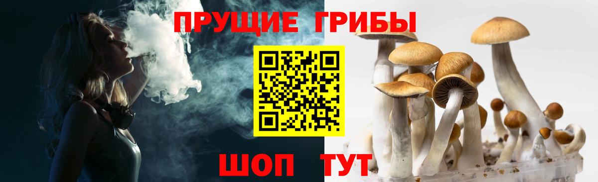 Галлюциногенные грибы Magic Shrooms Среднеуральск